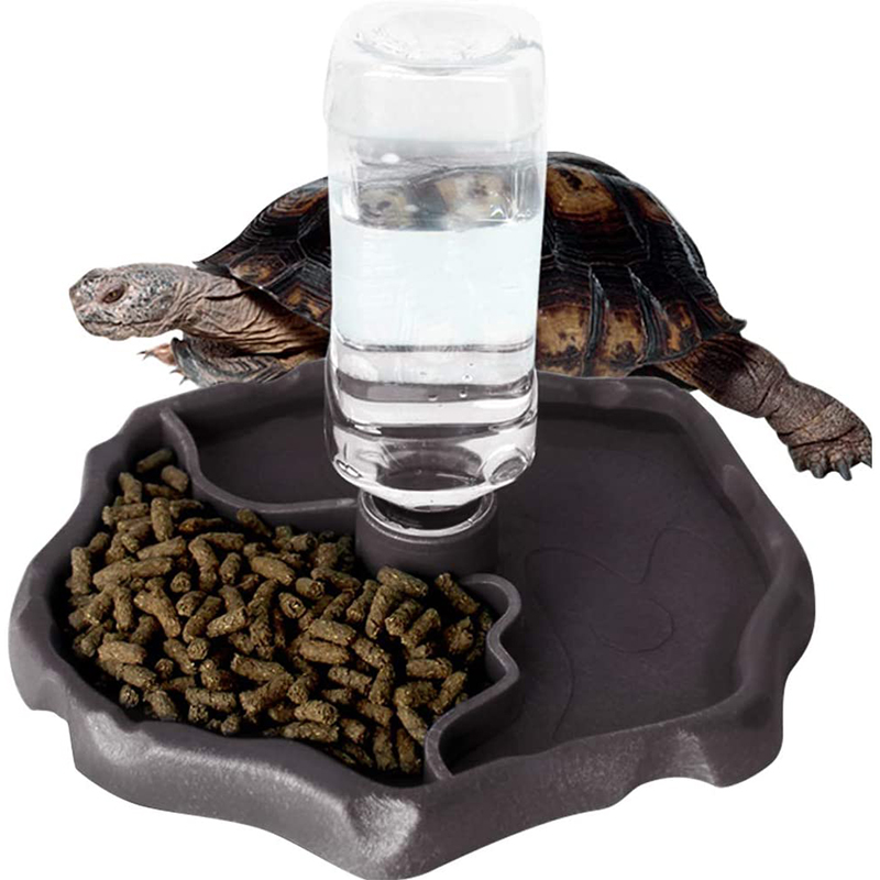 Food Storage Drums - Distributeur d'eau automatique pour reptiles, bouteille